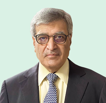 Mr. Dinesh Kumar Mehrotra